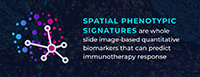Introduction to Spatial Phenotypic Signatures for Clinical Research